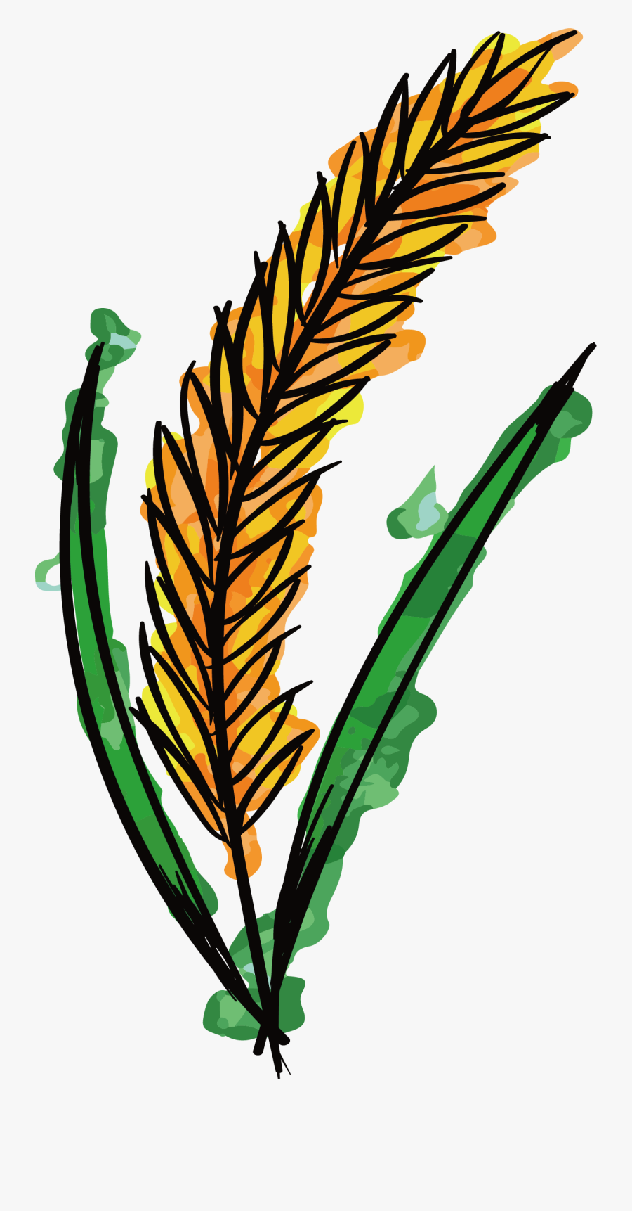 Watercolor Painting Wheat Clip Art - Watercolor Wheat Paintings, Transparent Clipart