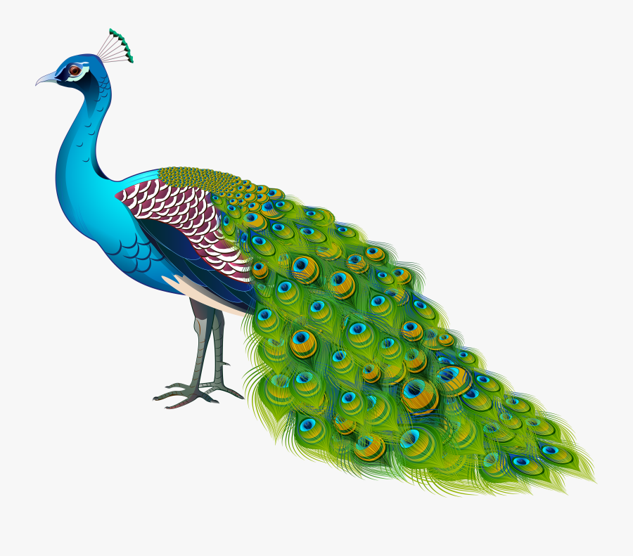 Peacock Clipart Png Format - Png Format Peacock Png, Transparent Clipart
