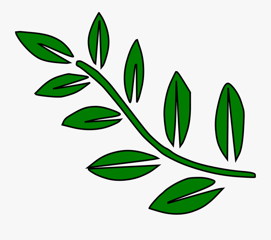 Transparent Olive Branch Clip Art - Branch Of Leaves Clipart, Transparent Clipart