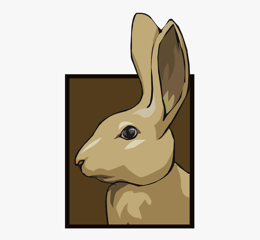 Domestic Rabbit, Transparent Clipart