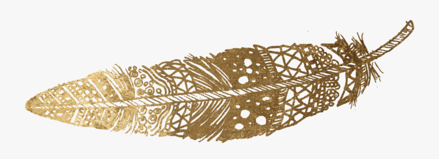 Hd Discern - Transparent Background Gold Feather, Transparent Clipart