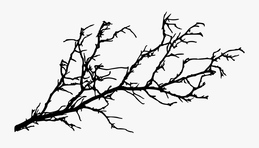 Tree With Branches Drawing At Getdrawings - Tree Branch Silhouette Png, Transparent Clipart