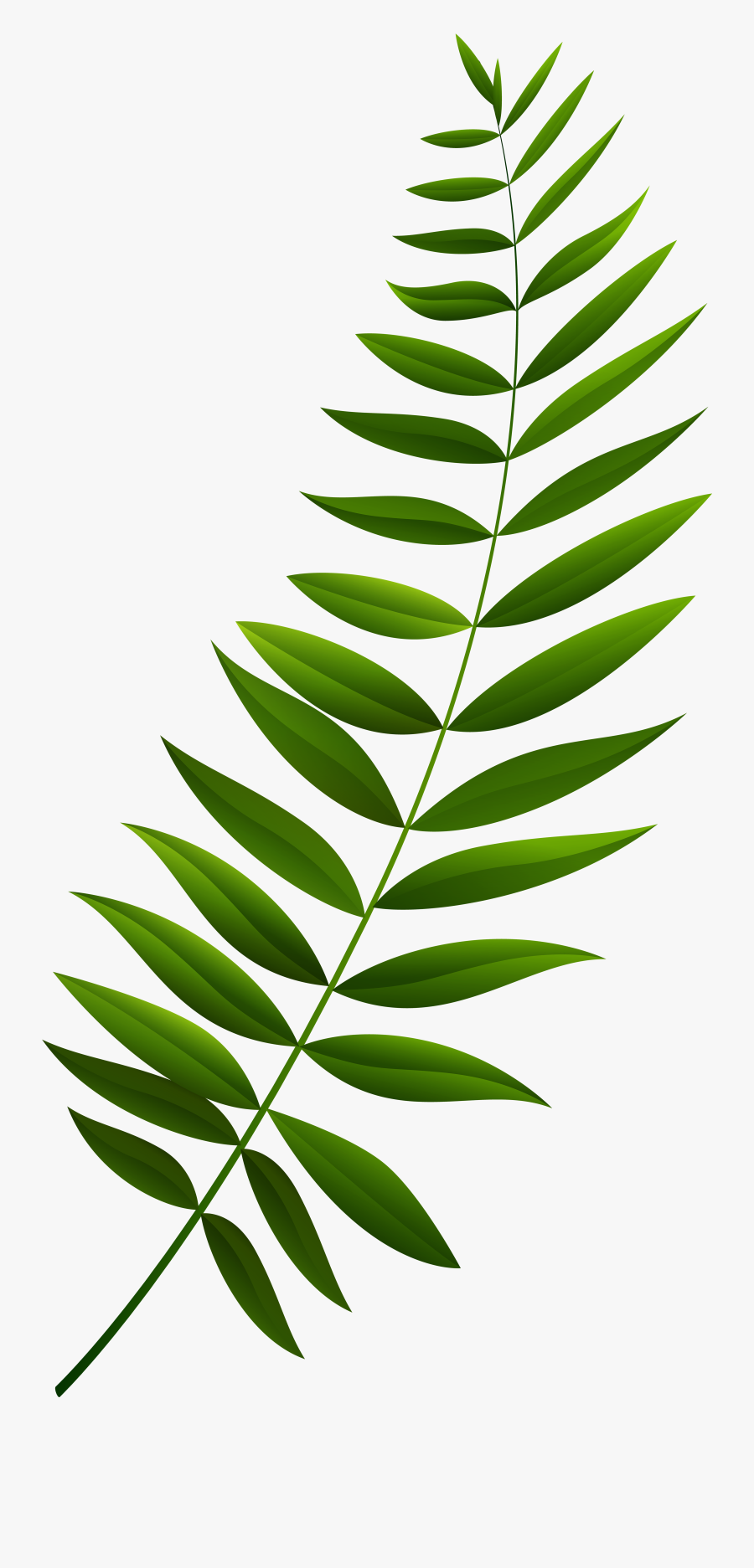 Green Branch Clipart , Png Download - Green Branch Clipart, Transparent Clipart