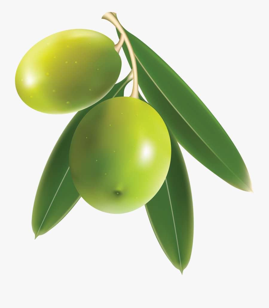 Olive Png Images Transparent Free Download - Olive Png, Transparent Clipart