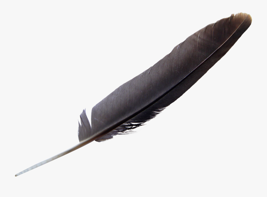 Feather Png Image - Eagle Feather Transparent, Transparent Clipart