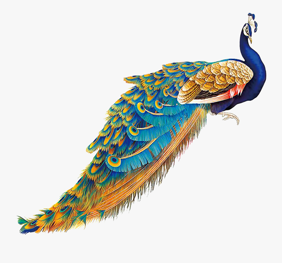 Peacock Painting Png, Transparent Clipart