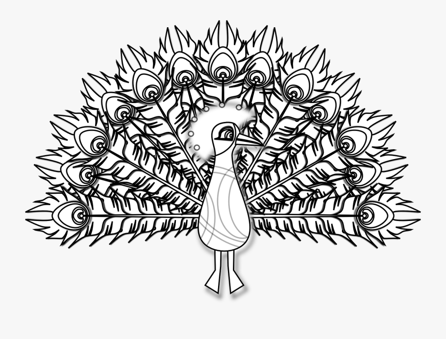 Peacock Clip Art Png Black And White, Transparent Clipart