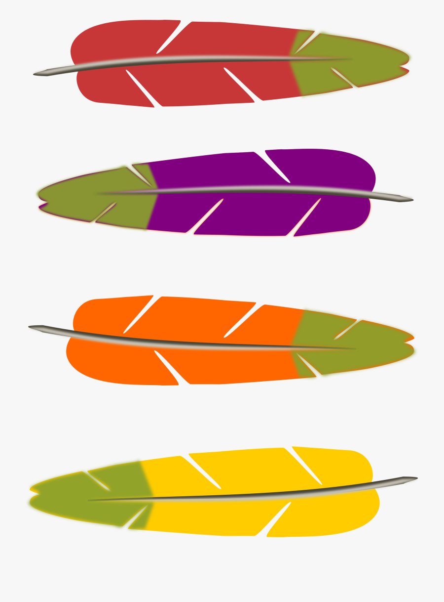 Feather Clipart Animal - Clip Art Turkey Feather, Transparent Clipart