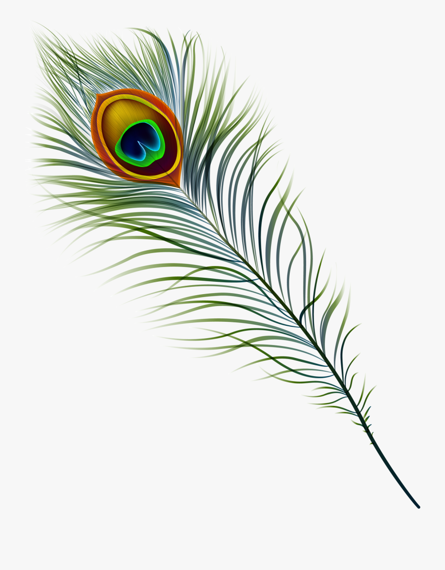 Antique Mall In Marietta,georgia - Transparent Background Peacock Feather Png, Transparent Clipart