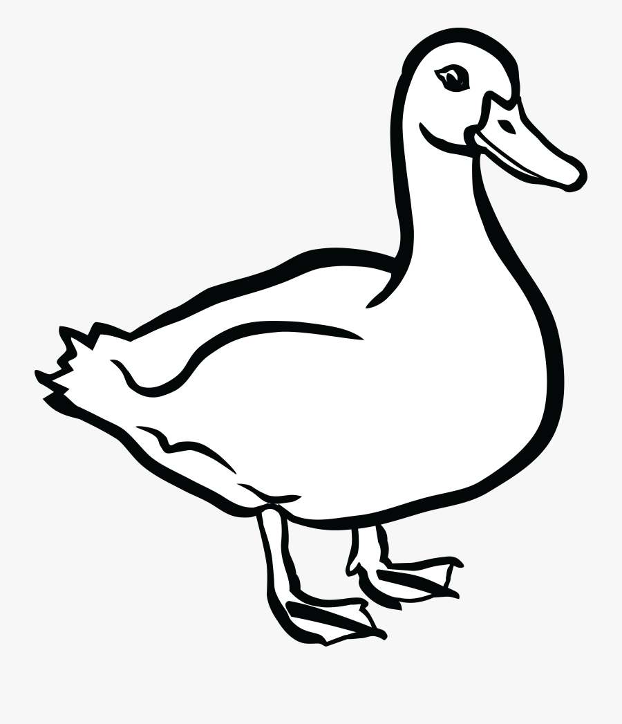 Ducks Clipart - Black And White Picture Of Duck, Transparent Clipart