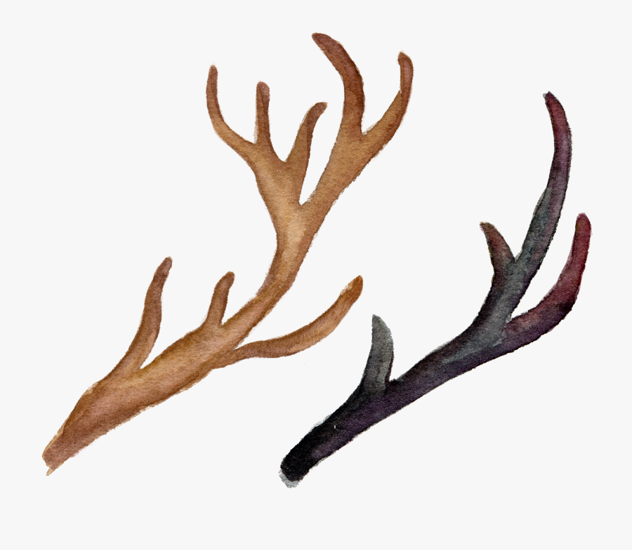 Reindeer Antler Flower Logo - Antlers And Flower, Transparent Clipart