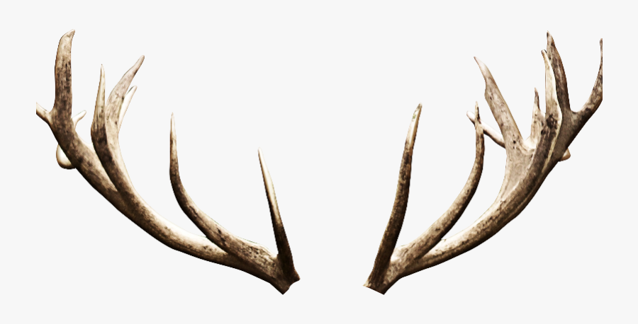 Clip Art Deer Antlers Horns Png - Deer Antlers Png, Transparent Clipart