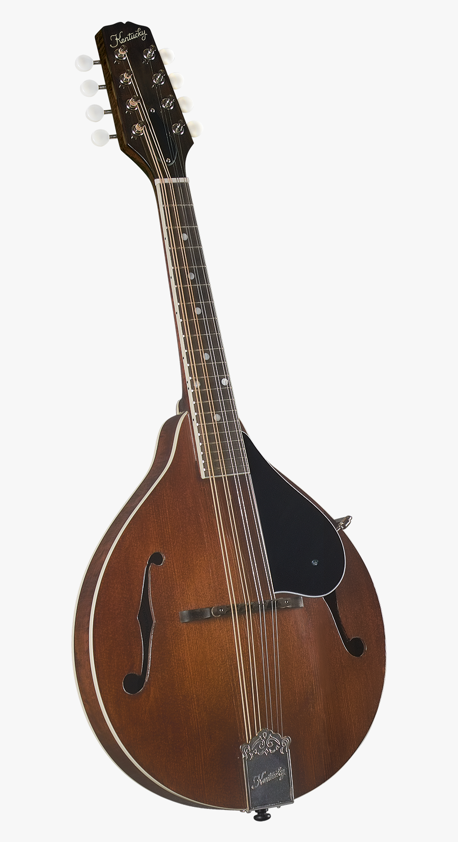 Clip Art History Of The Mandolin - Kentucky Mandolin Km 156, Transparent Clipart