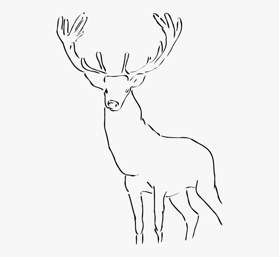 Deer,horn,monochrome - Stag Black And White, Transparent Clipart