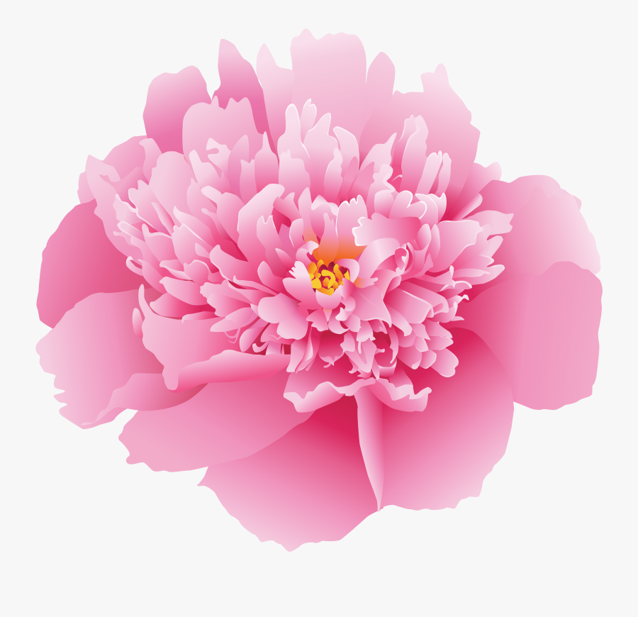 Clip Art Flower Png Clip Art - Pink Peony Transparent Background, Transparent Clipart