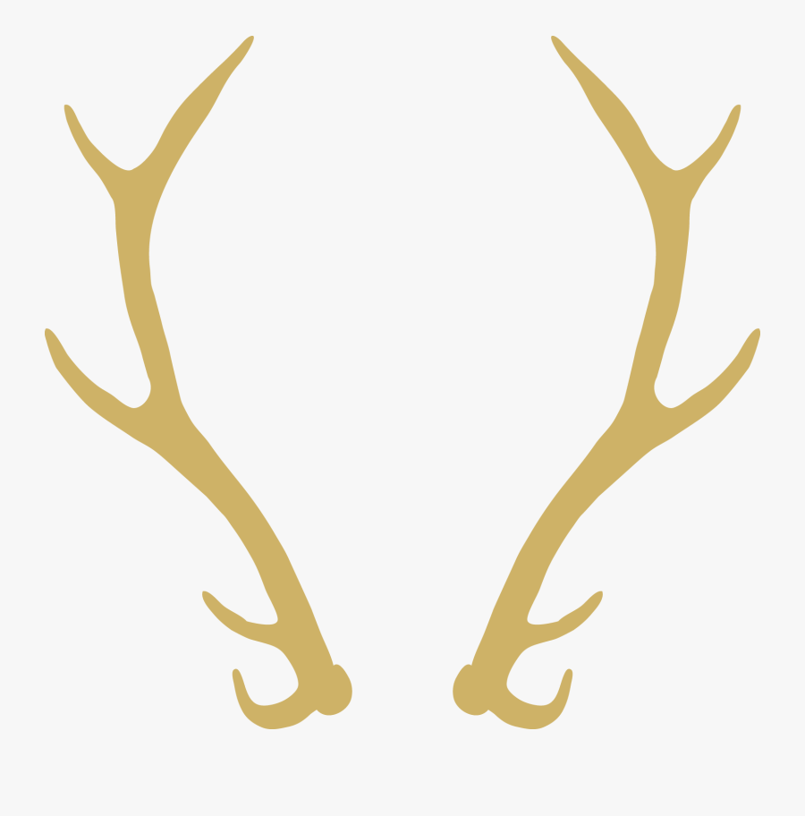 Image Transparent Download Wedding Invitation Wreath - Love You Deerly, Transparent Clipart