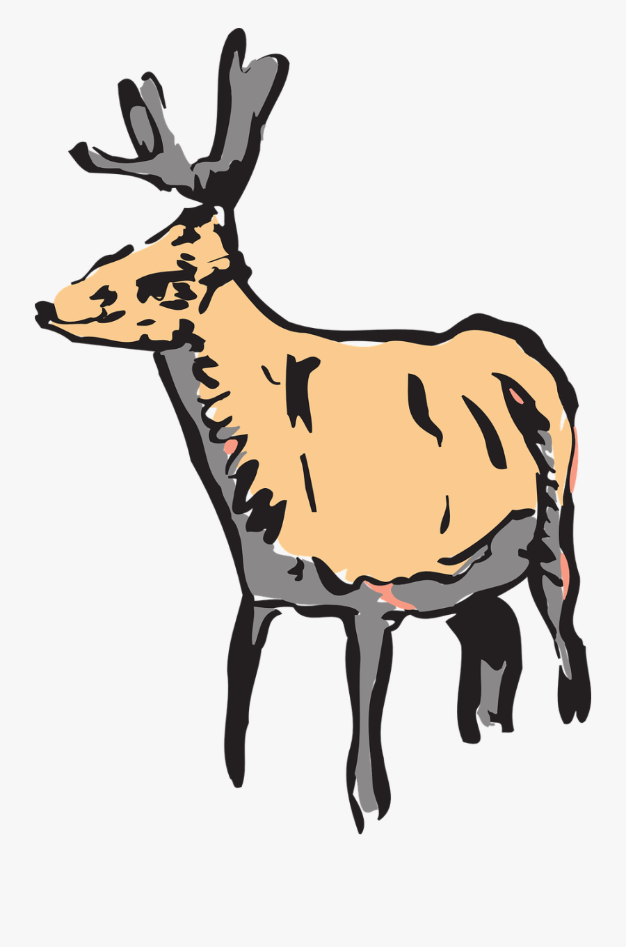 Deer Wild Animal Free Picture - Drawing, Transparent Clipart