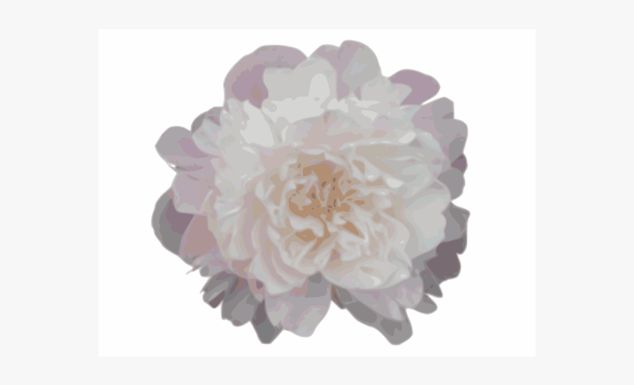 Pink Peony - Dahlia, Transparent Clipart