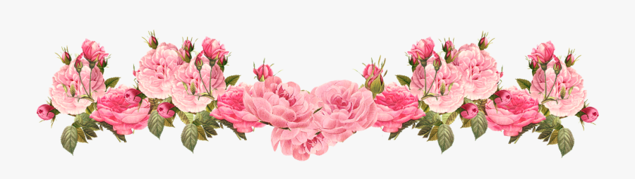 Vintage Pink Free Rose - Flower Bottom Border Png, Transparent Clipart