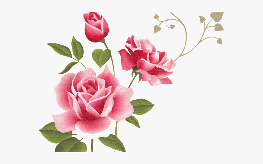 Peony Clipart Pastel - Clip Art Borders Flowers Rose, Transparent Clipart