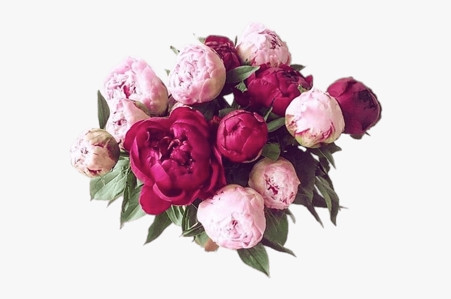 Bouquet Of Peonies - Multi Ani Dragile Mele, Transparent Clipart