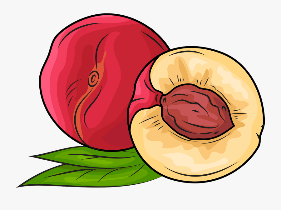 Clip Art, Transparent Clipart