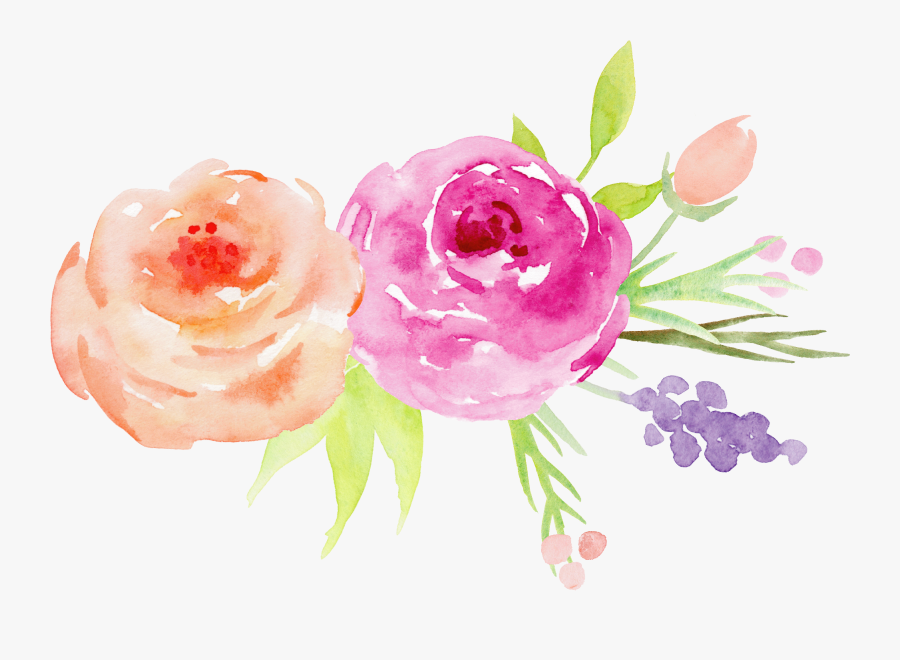 #bloom #flower #border #flowers #white #bouquet #multiple - Transparent Watercolor Roses Png, Transparent Clipart