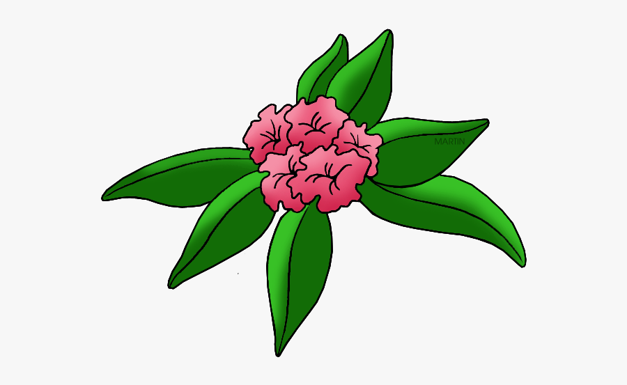 State Flower Coast Rhododendron West Virginia Flower Drawing , Free