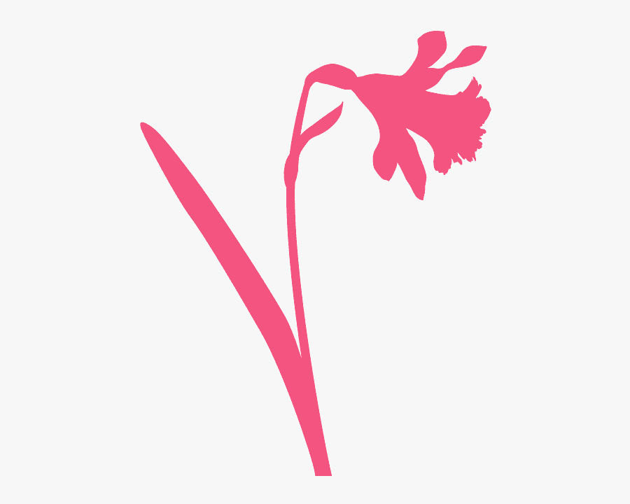 Daffodil Silhouette, Transparent Clipart