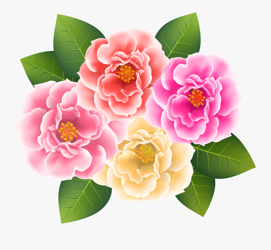 Peony Clipart Rose - Japanese Camellia Png Format, Transparent Clipart