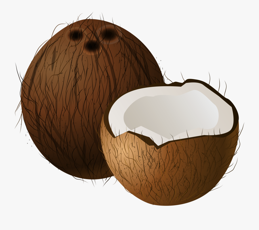 Clip Art Coconut Clip Art, Transparent Clipart