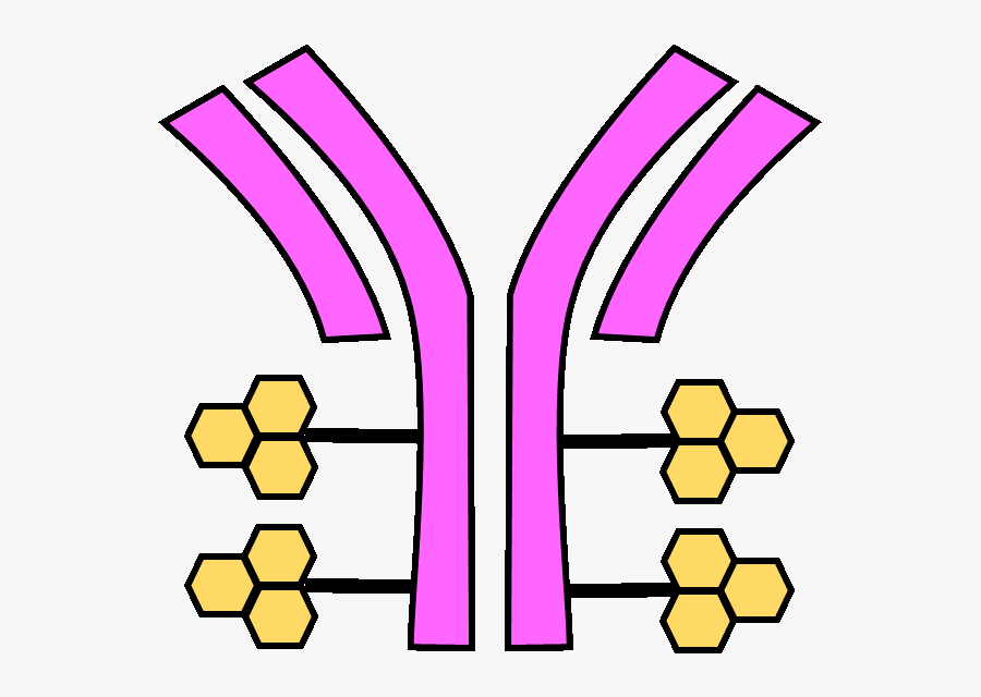 Kadcyla, Transparent Clipart