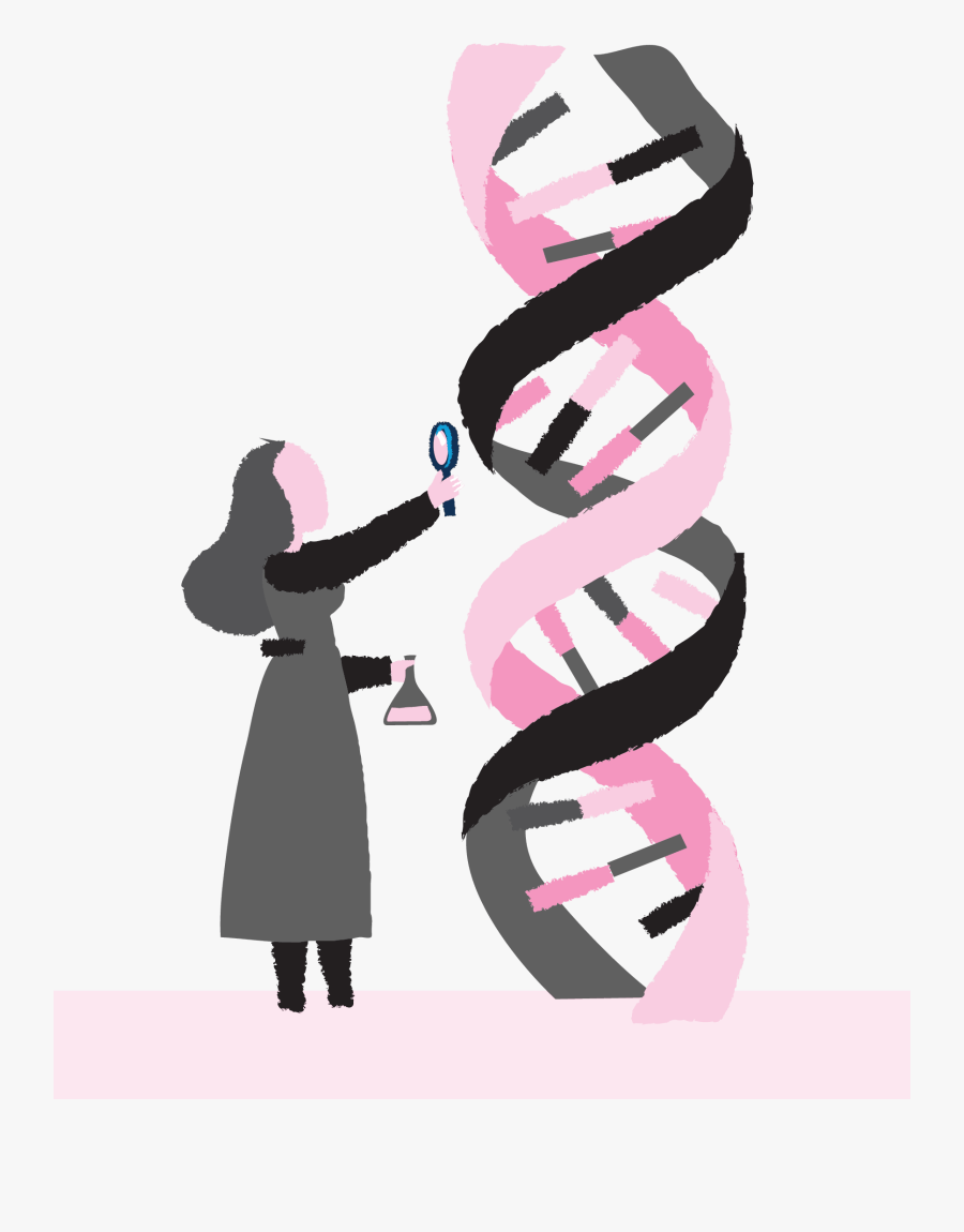 Illustration, Transparent Clipart