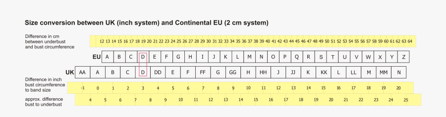 Clip Art Size Wikiwand South Koreajapan - Bust Size To Cup, Transparent Clipart