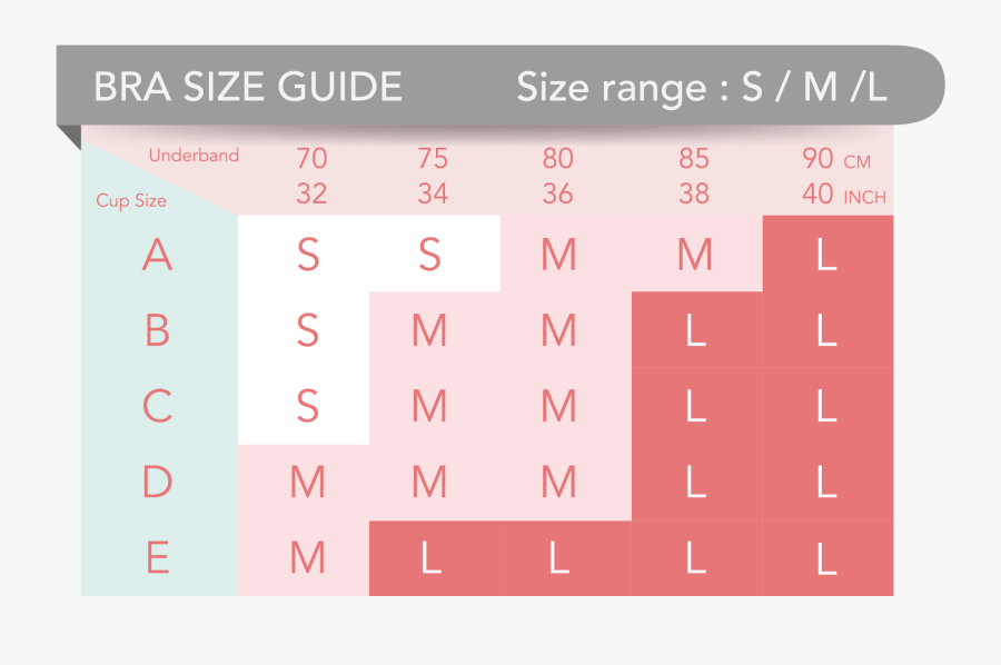 Clip Art Guide Calculator Shop Maternity - 75 Cm Breast Size, Transparent Clipart