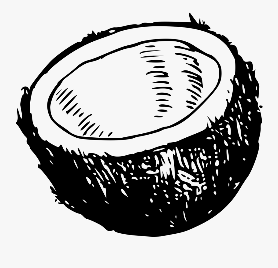 Transparent Coconut Bra Png - Coconut Black And White, Transparent Clipart