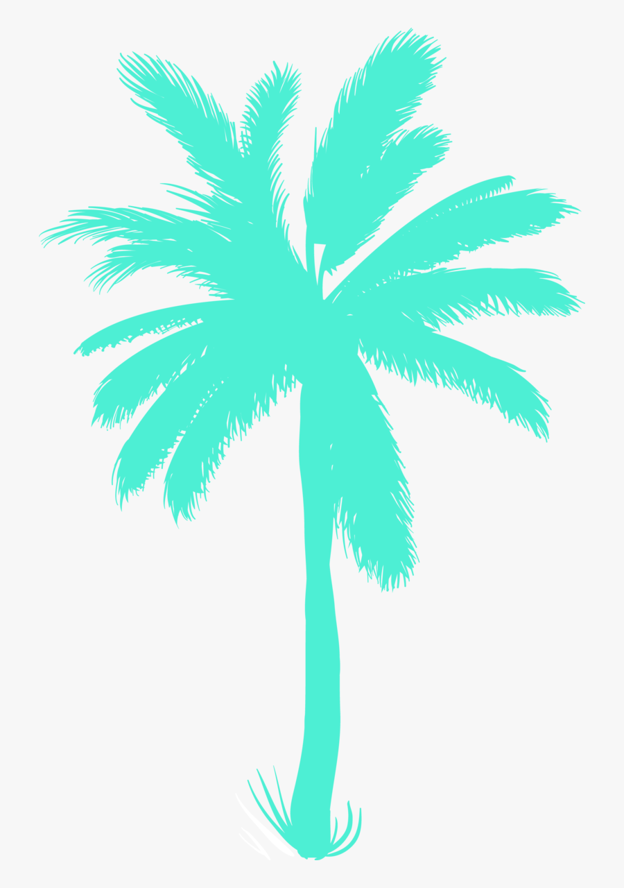 Transparent Coconut Bra Clipart - Summer Island Photoshop, Transparent Clipart