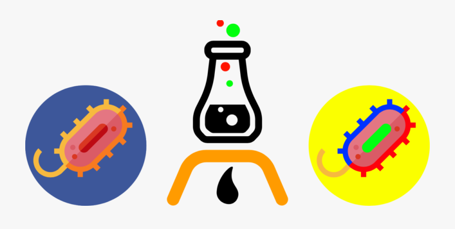 Life Science Technologies Creativity, Transparent Clipart