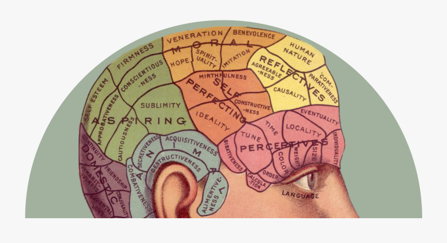 Brain Clipart Neuroscientist, Transparent Clipart