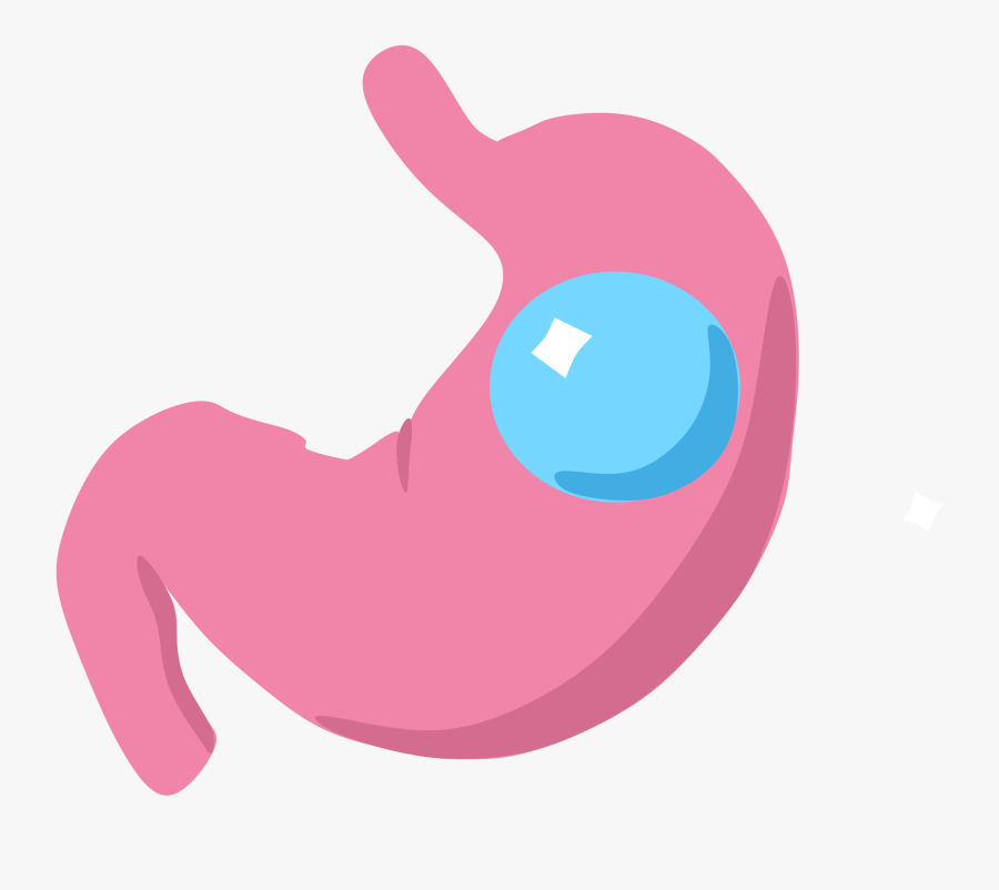 Gastric Balloon Wikipedia Iconsvg - Transparent Stomach Png, Transparent Clipart