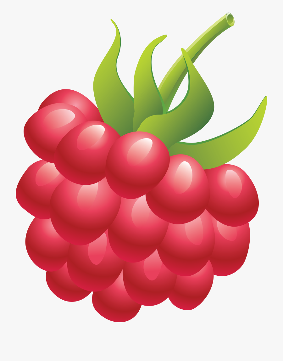 Rraspberry Png Image - Cartoon Raspberry No Background, Transparent Clipart