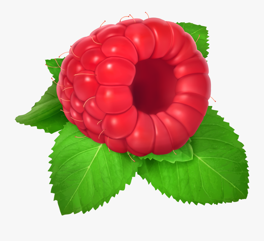 Raspberry Png Clipart, Transparent Clipart