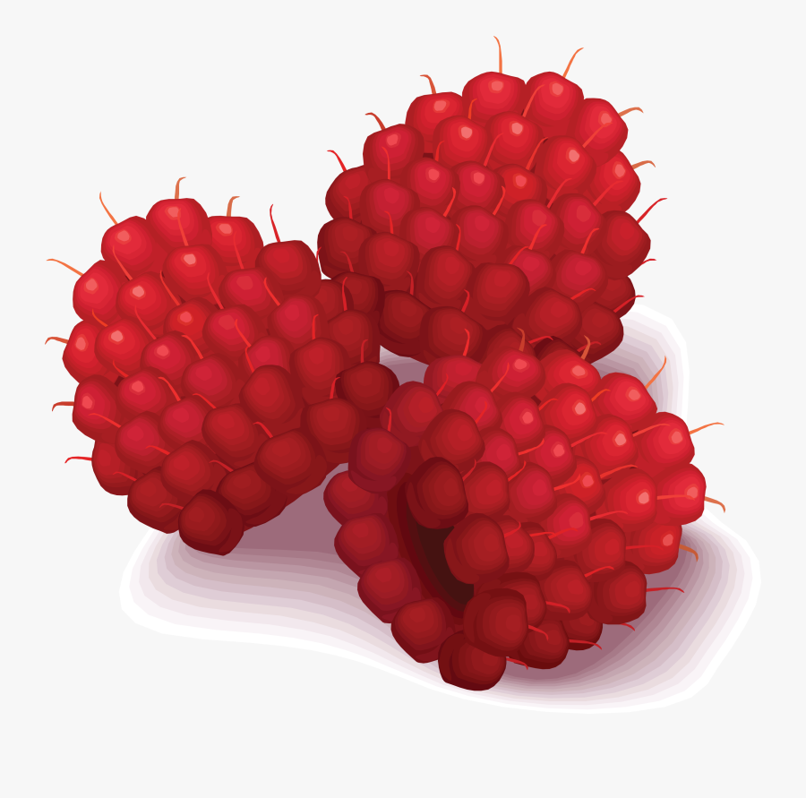 Rasberry Drawing Png Image Png Photo, Stock Pictures,, Transparent Clipart