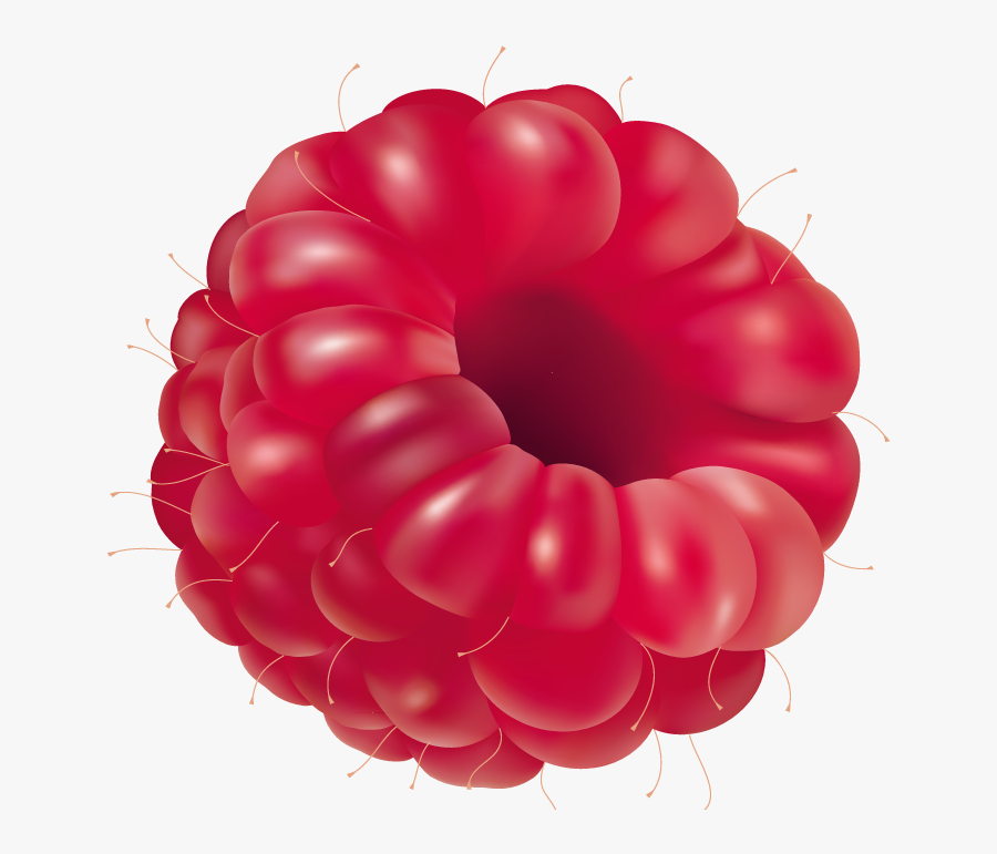 Raspberry Png Clipart - Raspberry Png, Transparent Clipart