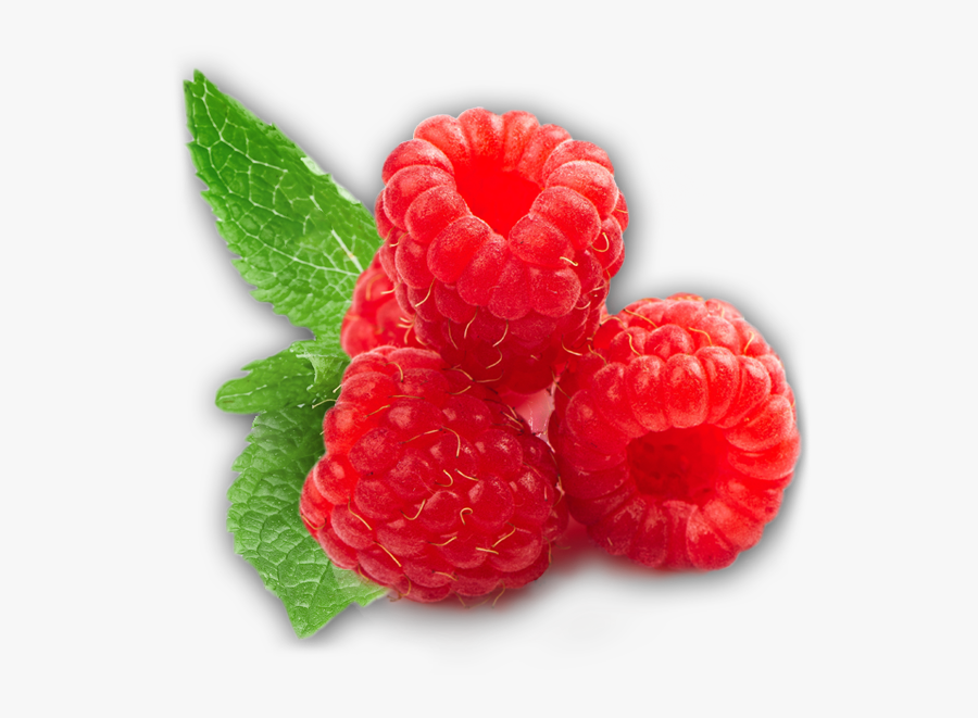 Rraspberry Png Image - Raspberry Png, Transparent Clipart
