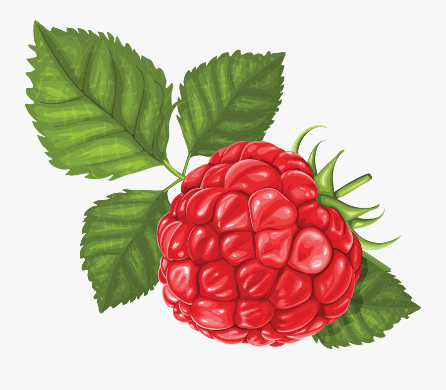 Raspberry Illustration Png, Transparent Clipart