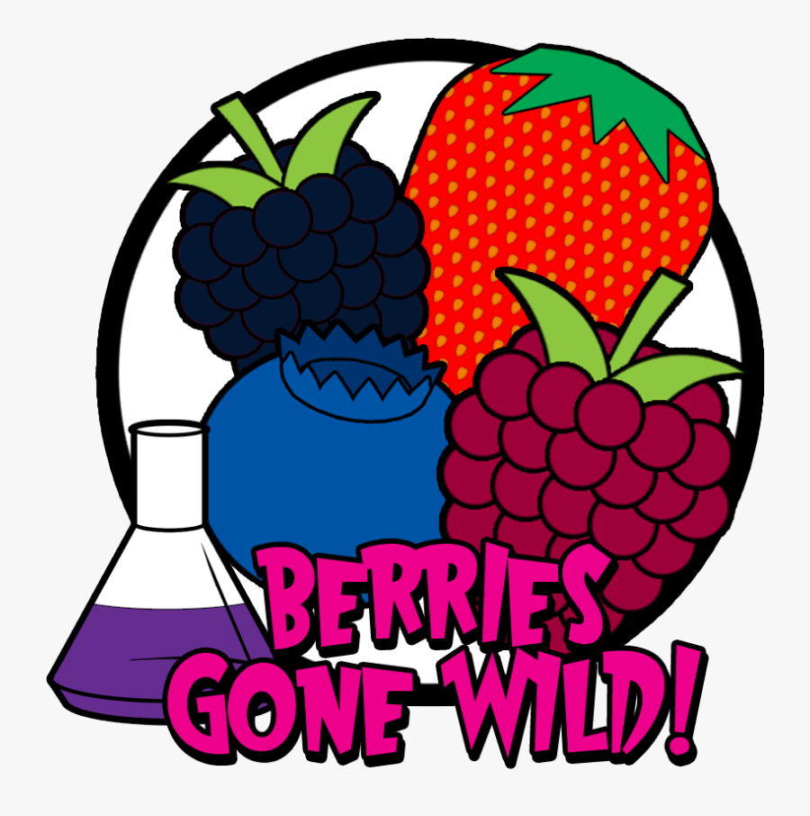 Raspberry Clipart Wild Berry - Cheesecake, Transparent Clipart