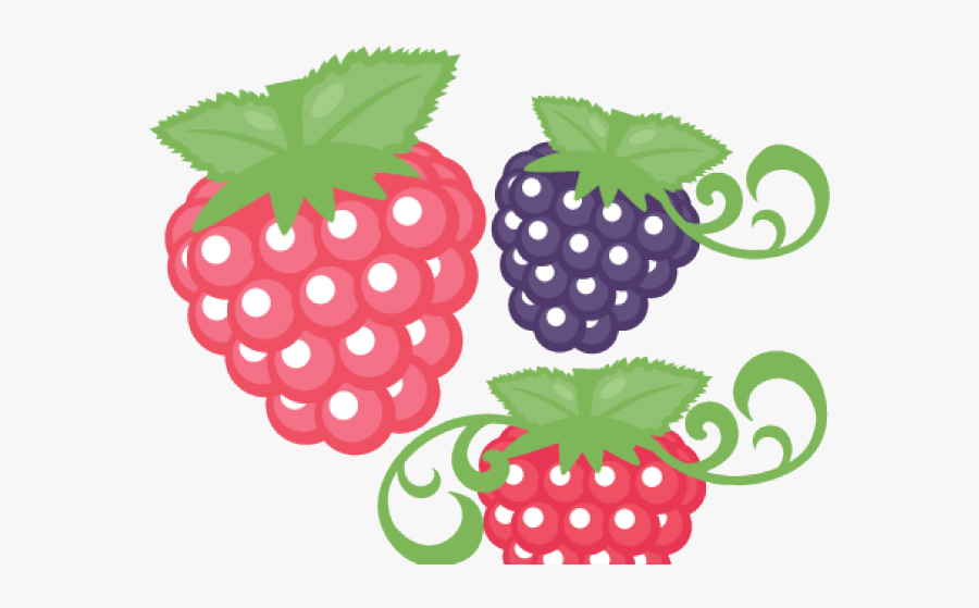 Raspberry Clipart Svg - Raspberry Fruit Pencil Art, Transparent Clipart