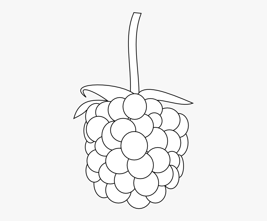 Grape, Transparent Clipart