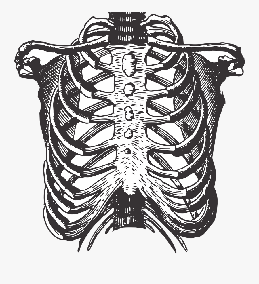 Rews Can You Feel, Transparent Clipart